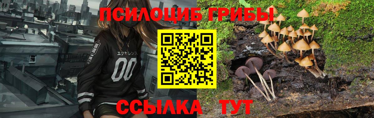 Галлюциногенные грибы MAGIC MUSHROOMS Нефтекумск